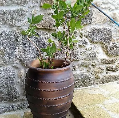 Casa Dario *